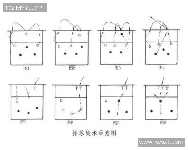 杭州排球队整体压制战术解析与实战应用探讨 杭州排球队整体压制战术解析与实战应用探讨