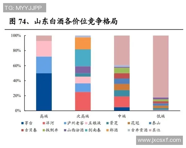 杭州排球队与广州排球队对决分析个人能力与战术表现的深度复盘