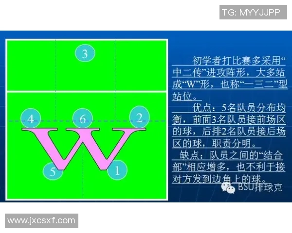 武汉排球队的节奏打法深度解析与战术创新探讨 武汉排球队的节奏打法深度解析与战术创新探讨