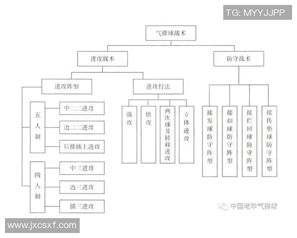 西安排球队中路突破新策略解析与战术创新探讨