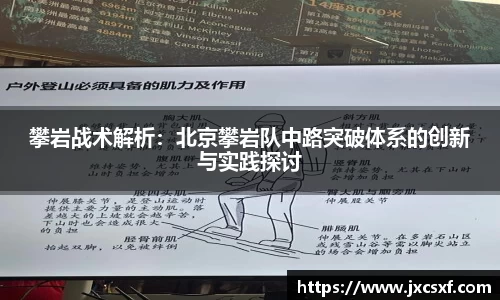 星空xingkong官方网站